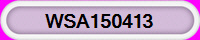 WSA150413