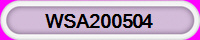 WSA200504