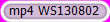 mp4 WS130802