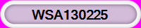 WSA130225