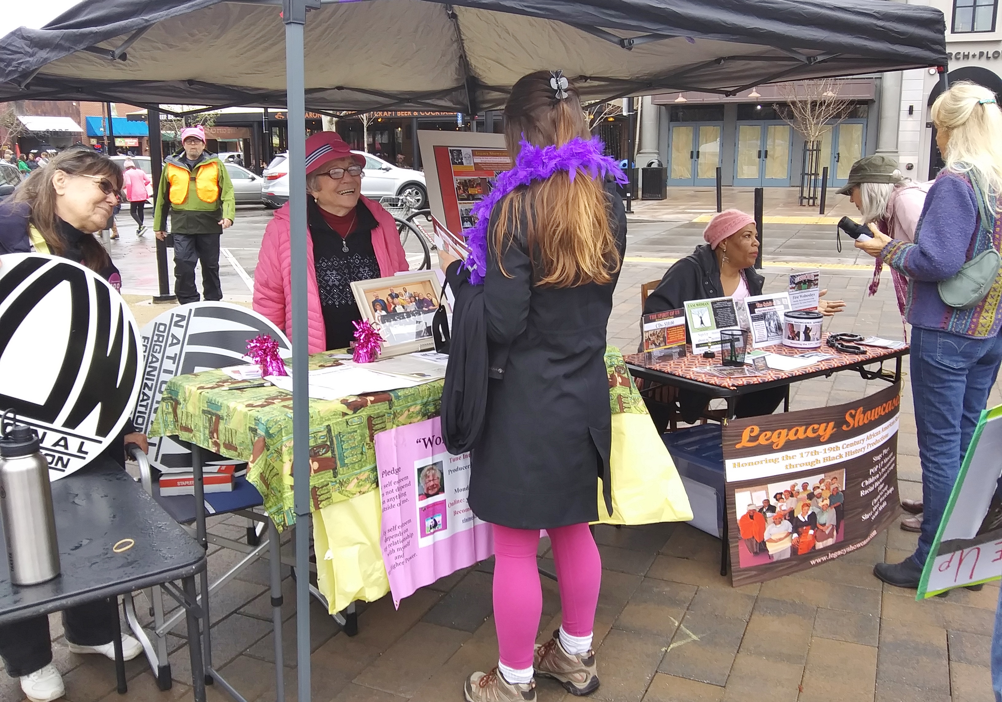 Santa Rosa Womens March and Rally booth NOW WS Legacy Showcase