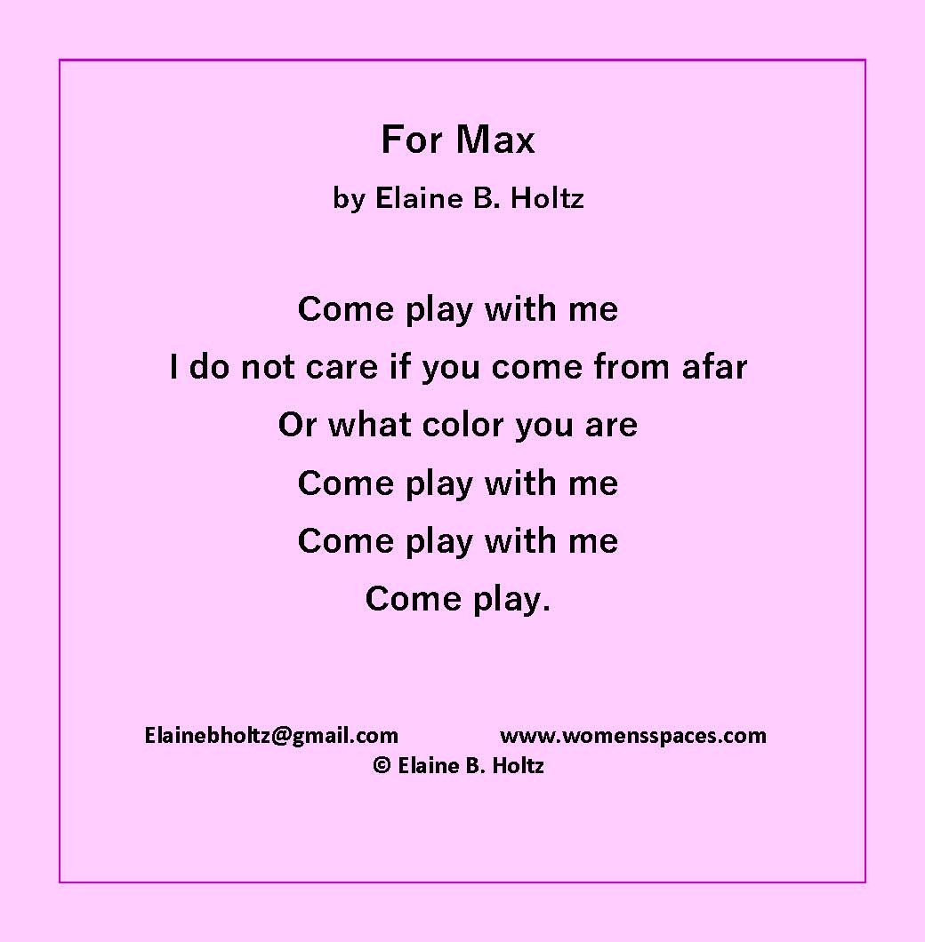 For Max by Elaine B. Holtz