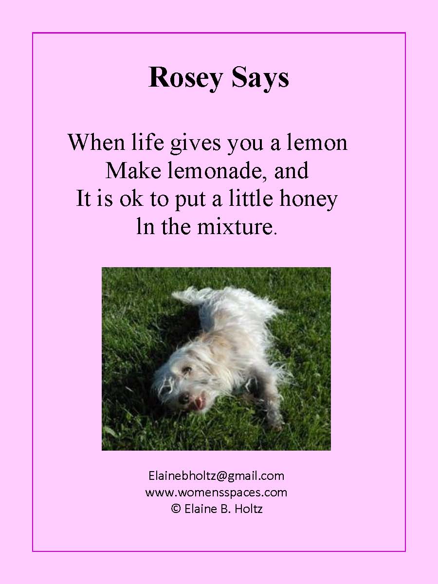 Rosey Says by Elaine B. Holtz